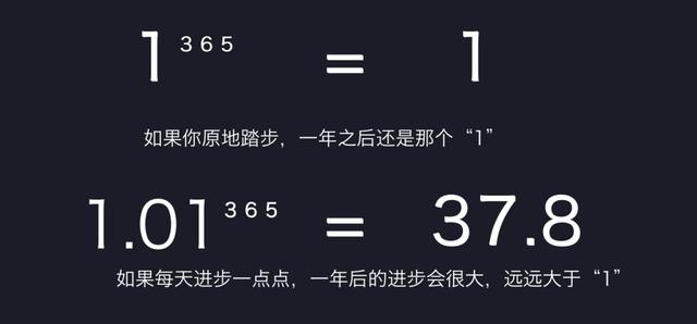 假设现在自己的水平是1,每天进步1%,则1年后,每天毫无长进的结果是:1.