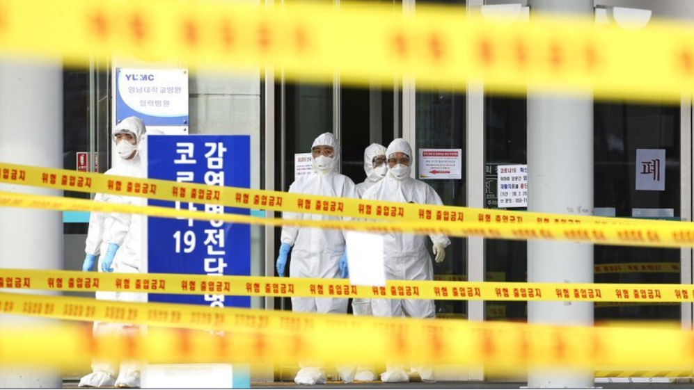 「樱花」大邱观察④：樱花都快开了，仍有高危病患在等床