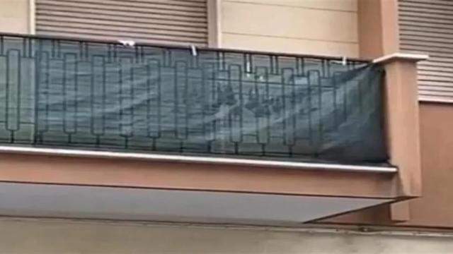 『蝙蝠』有人在阳台晒“蝙蝠干”还在滴血？市长带队封锁整条街