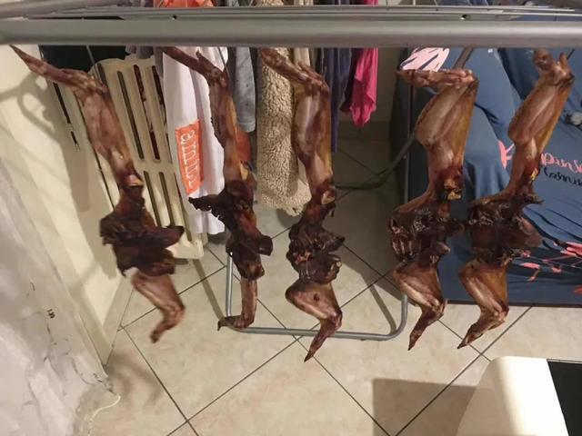 『蝙蝠』有人在阳台晒“蝙蝠干”还在滴血？市长带队封锁整条街