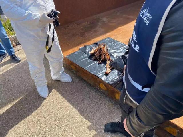 『蝙蝠』有人在阳台晒“蝙蝠干”还在滴血？市长带队封锁整条街