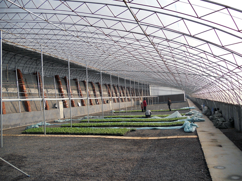 日光温室的保温结构设计及保温措施