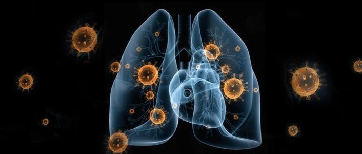 ■瑞典将不再统计新冠肺炎确诊人数