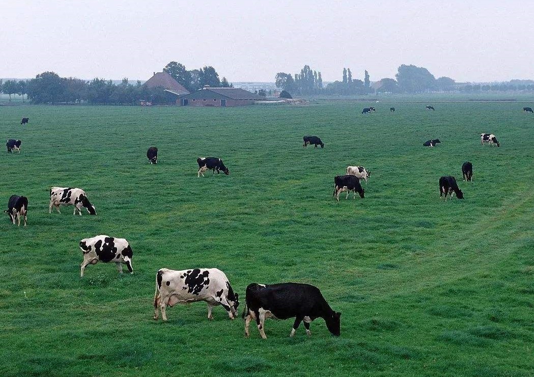 欧洲西部和北美洲西部的"温带海洋性气候"对比,有什么异同点?