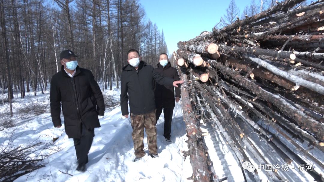 阿龙山林业局深入各生产单位督导检查复工复产情况