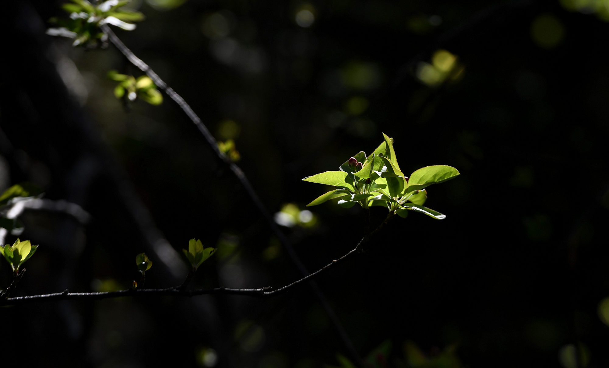 河南郑州天气晴朗市民外出享受春光好惬意