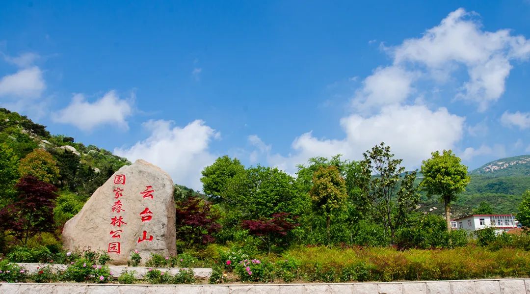 走進連雲港的雲臺山國家森林公園,品味港城獨特的春天美食