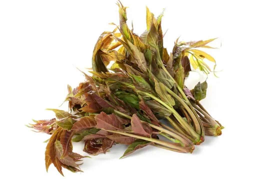 『蔬菜』营养专家告诉你：疫情期间给孩子这样吃，增强抵抗力！