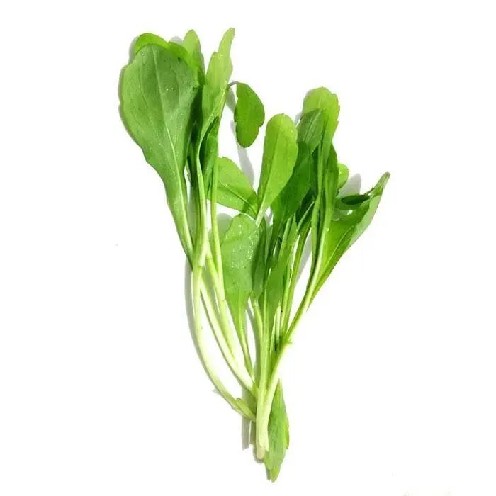 『蔬菜』营养专家告诉你：疫情期间给孩子这样吃，增强抵抗力！