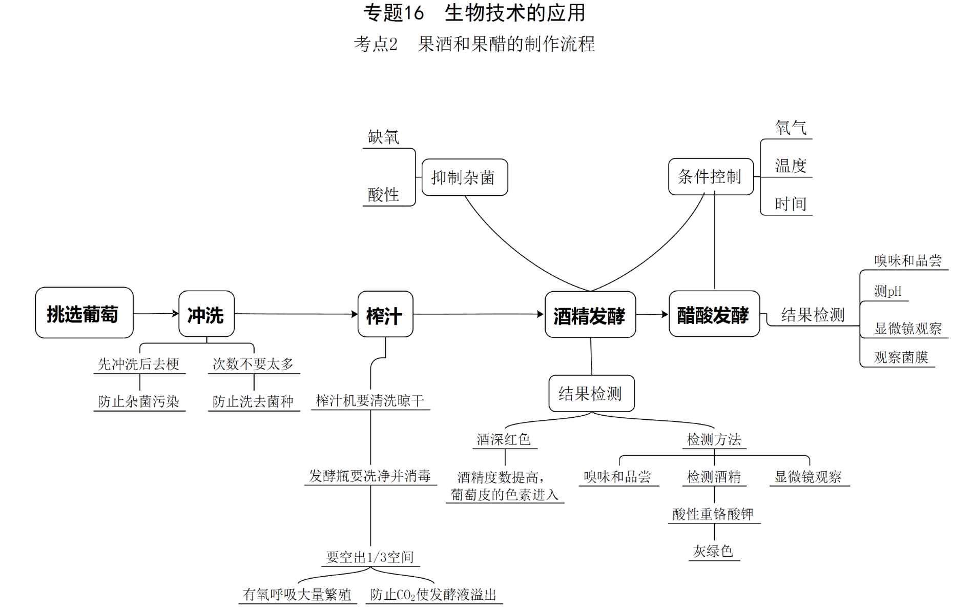 2020高考生物大纲选修一思维导图建议收藏