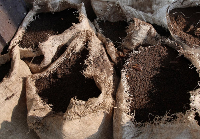 「蝙蝠」外媒：新冠病毒或源于蝙蝠，但泰国村民为生计仍在采集蝙蝠粪