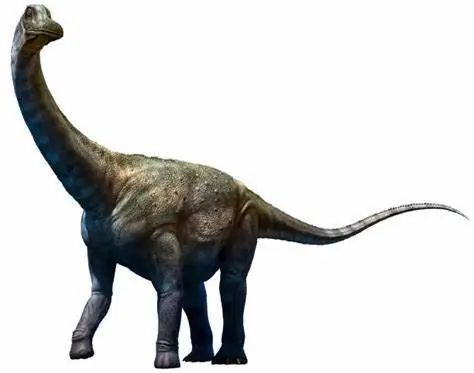 2020巨型蜥脚类恐龙排行榜(第二梯队)