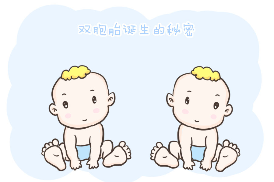 双胞胎宝宝的"诞生秘密"你真的知道吗?其实形成过程是这样的!
