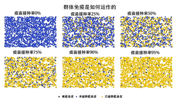 「免疫力低下」靠不靠谱？面对疫情，这个国家要“拿4000万人冒险”科学吗？