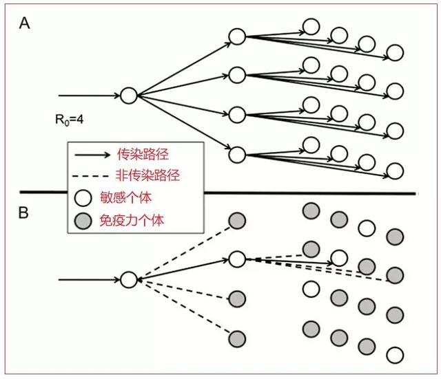 「免疫力低下」靠不靠谱？面对疫情，这个国家要“拿4000万人冒险”科学吗？