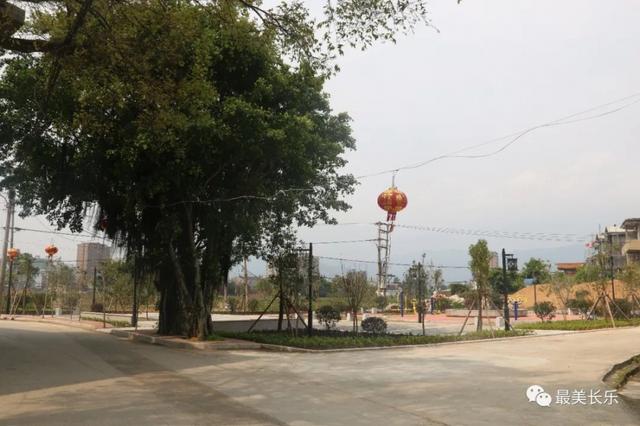 山水又相逢长乐区金峰镇绘就乡村新画卷