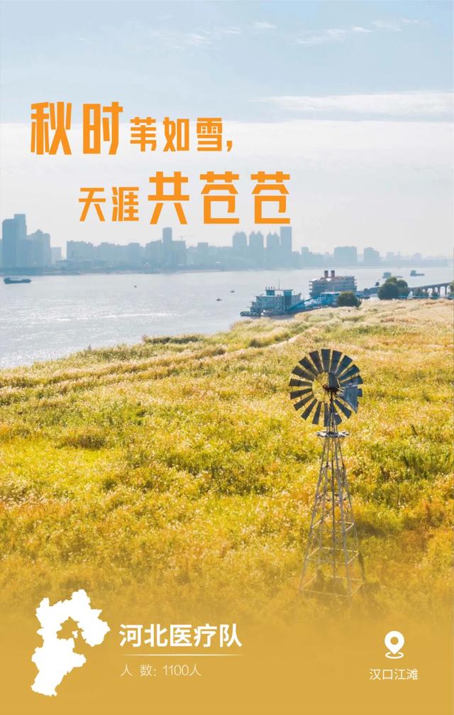 #天津#最美“英雄贴”，致敬最真“患难情”