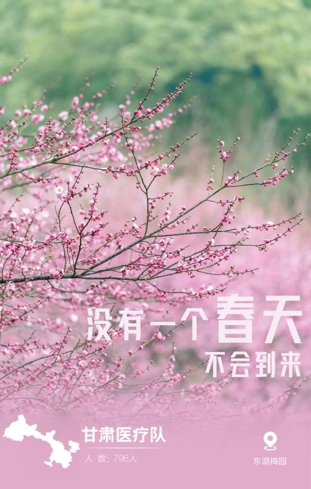 #天津#最美“英雄贴”，致敬最真“患难情”