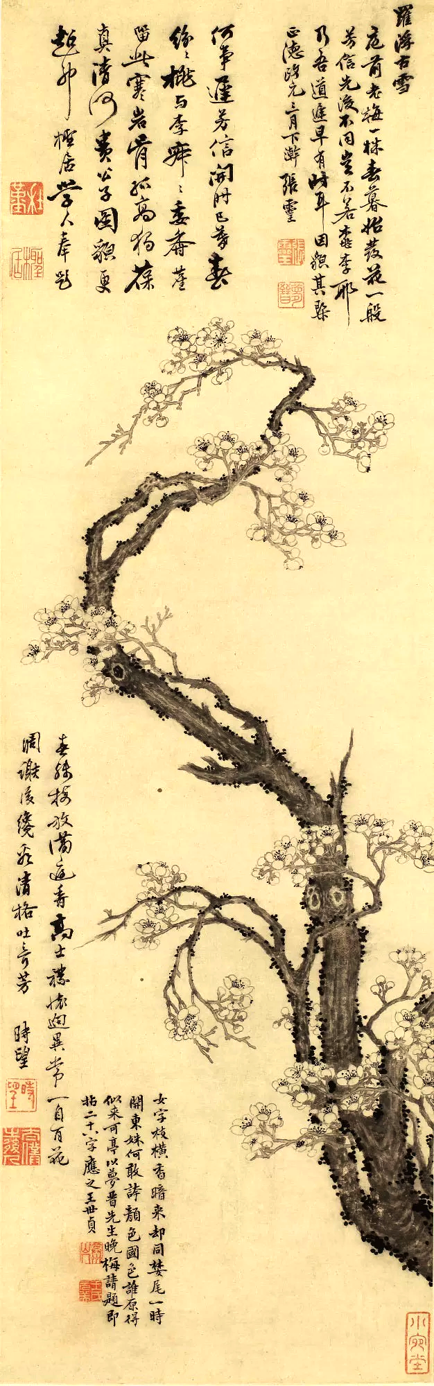 明代画家传张灵画作受发小唐寅影响大放荡不羁有古狂士之风