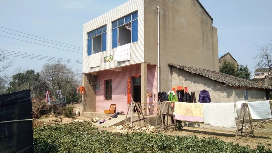 建筑■每个盖违章建筑的人，都做着一个包租婆的梦