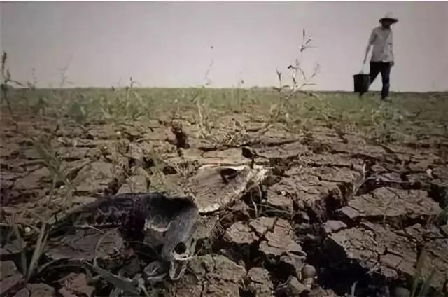 【秸秆】@农民朋友们，秸秆焚烧高发期千万要注意！