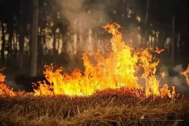 【秸秆】@农民朋友们，秸秆焚烧高发期千万要注意！