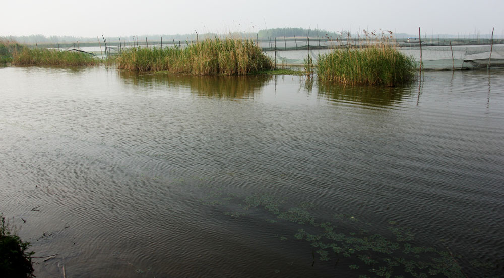 蚌埠五河县的天井湖汉高祖刘邦藏身之地