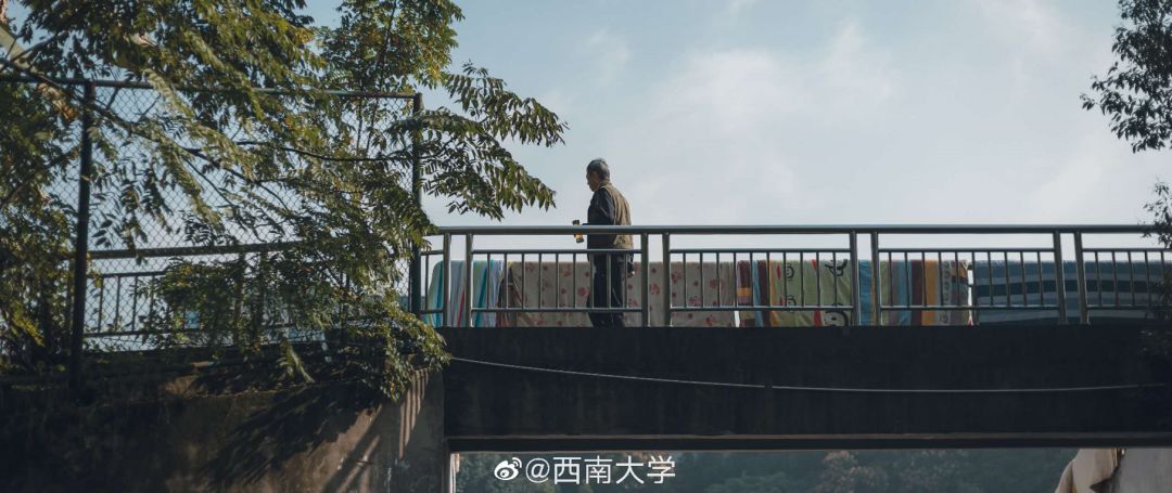 大学▲这些记忆中的校园太美好了！你相册里校园的春天什么样？