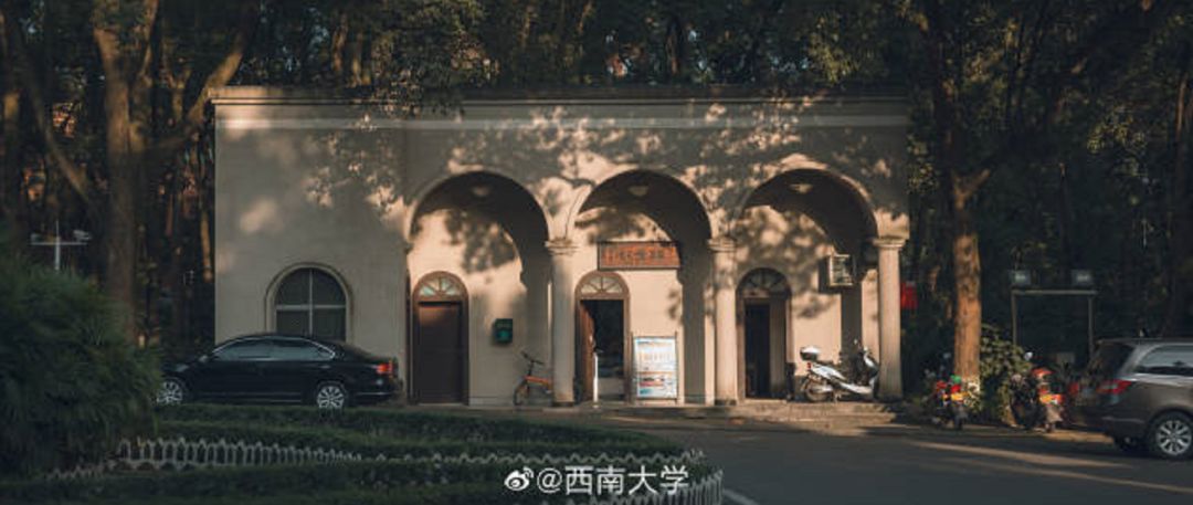 大学▲这些记忆中的校园太美好了！你相册里校园的春天什么样？