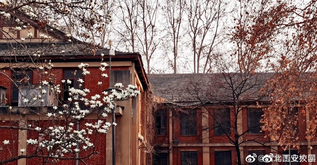 大学▲这些记忆中的校园太美好了！你相册里校园的春天什么样？