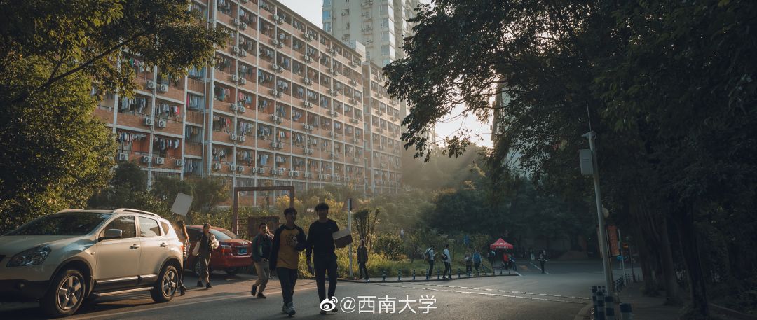 大学▲这些记忆中的校园太美好了！你相册里校园的春天什么样？