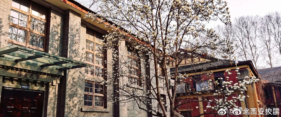 大学▲这些记忆中的校园太美好了！你相册里校园的春天什么样？