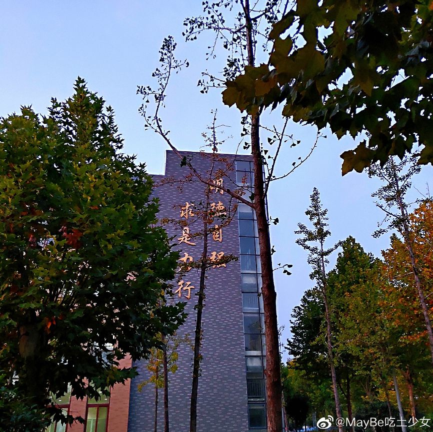 大学▲这些记忆中的校园太美好了！你相册里校园的春天什么样？