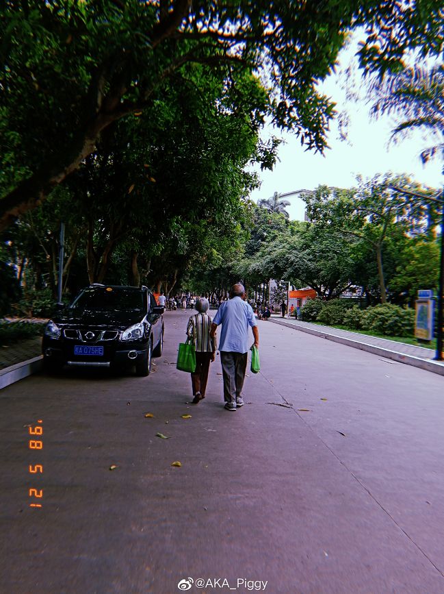 大学▲这些记忆中的校园太美好了！你相册里校园的春天什么样？