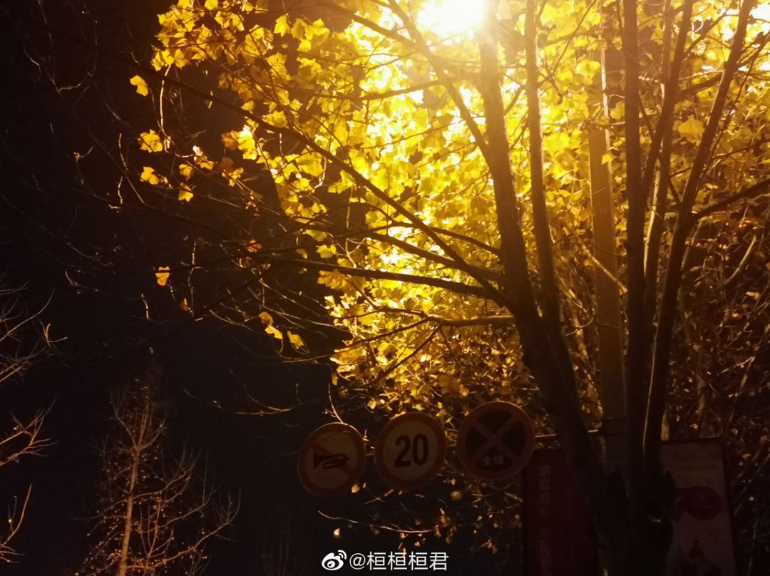 大学▲这些记忆中的校园太美好了！你相册里校园的春天什么样？