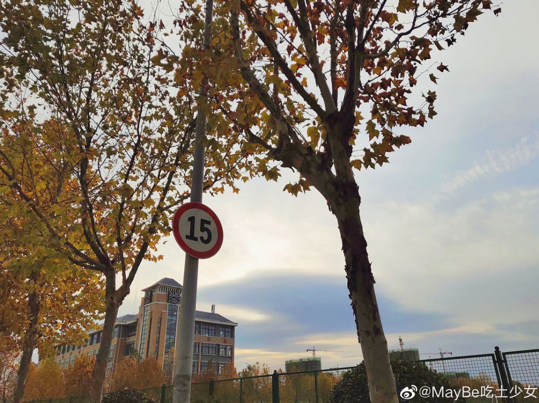 大学▲这些记忆中的校园太美好了！你相册里校园的春天什么样？