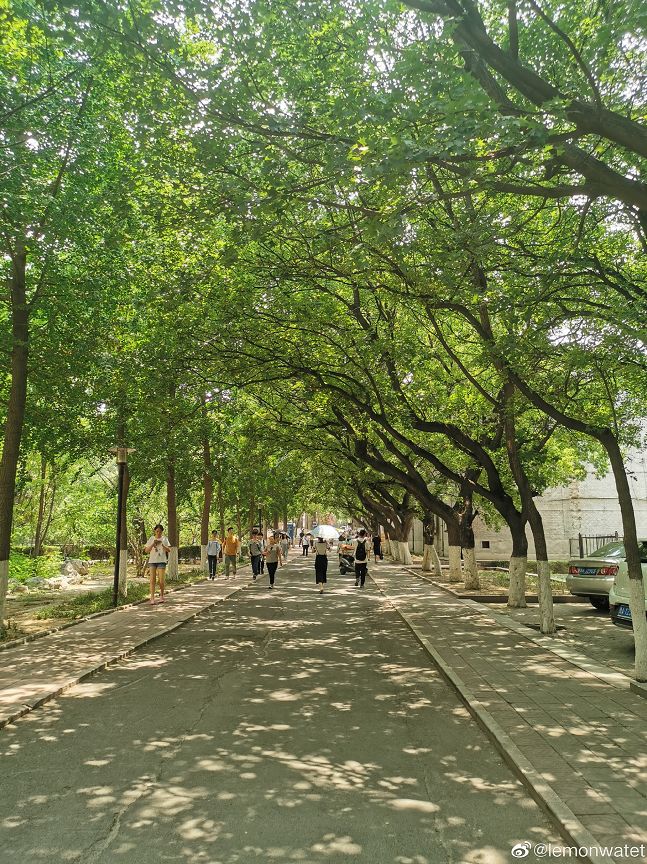 大学▲这些记忆中的校园太美好了！你相册里校园的春天什么样？