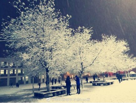 大学▲这些记忆中的校园太美好了！你相册里校园的春天什么样？