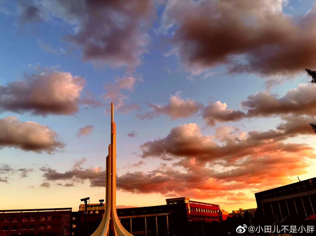 大学▲这些记忆中的校园太美好了！你相册里校园的春天什么样？