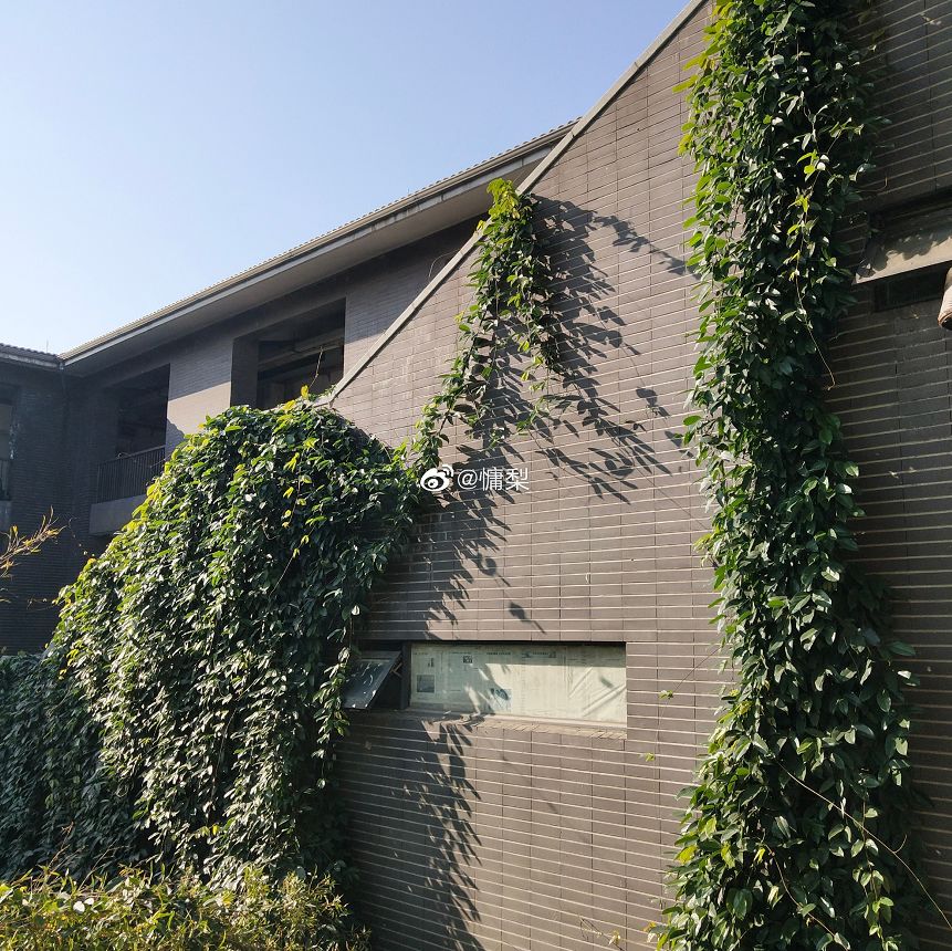 大学▲这些记忆中的校园太美好了！你相册里校园的春天什么样？