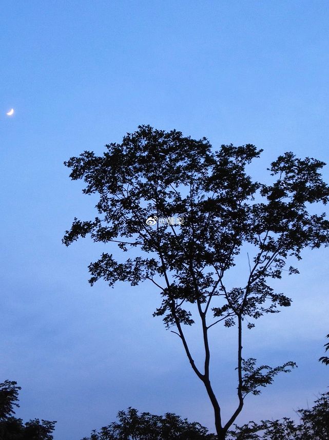 大学▲这些记忆中的校园太美好了！你相册里校园的春天什么样？