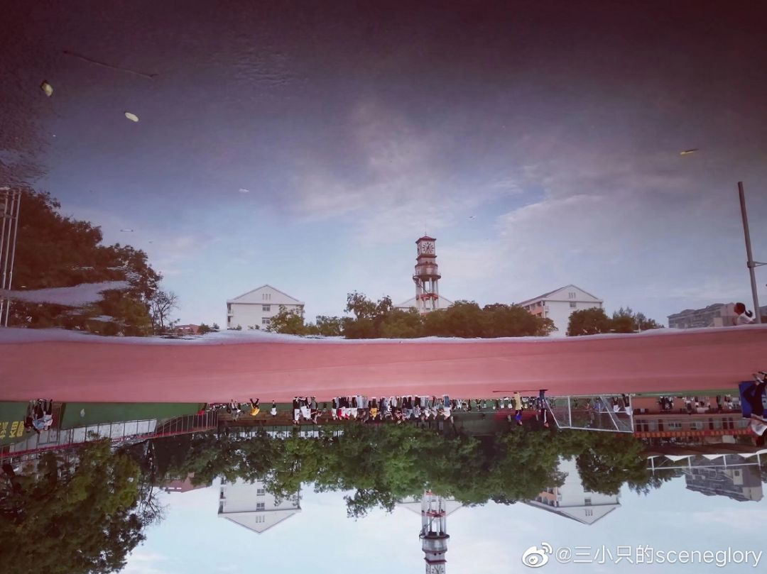 大学▲这些记忆中的校园太美好了！你相册里校园的春天什么样？