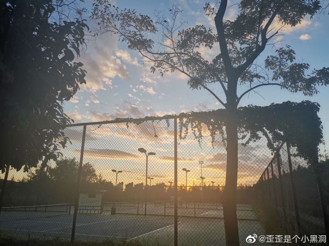 大学▲这些记忆中的校园太美好了！你相册里校园的春天什么样？