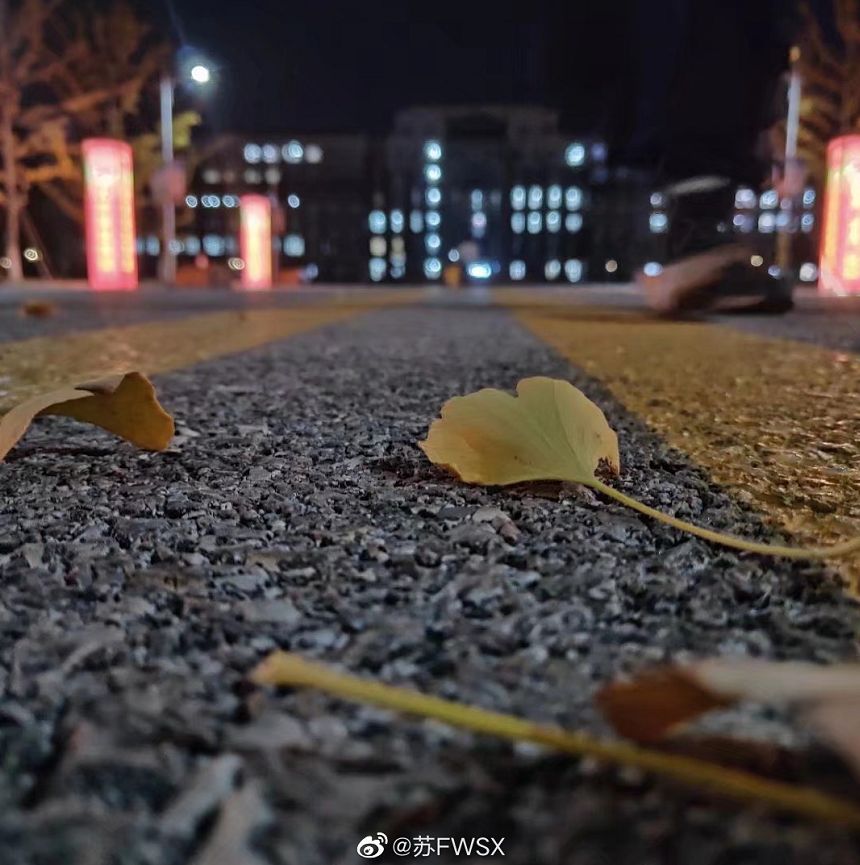 大学▲这些记忆中的校园太美好了！你相册里校园的春天什么样？