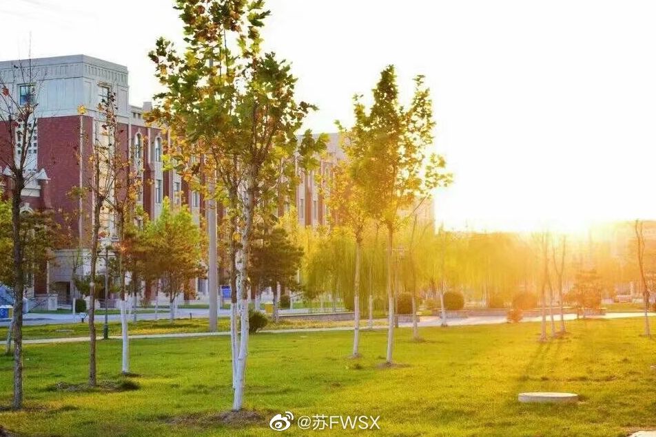 大学▲这些记忆中的校园太美好了！你相册里校园的春天什么样？