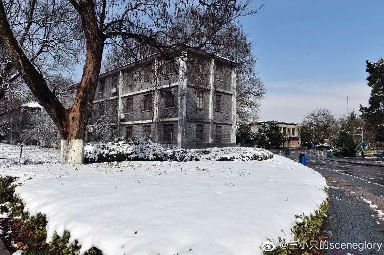 大学▲这些记忆中的校园太美好了！你相册里校园的春天什么样？