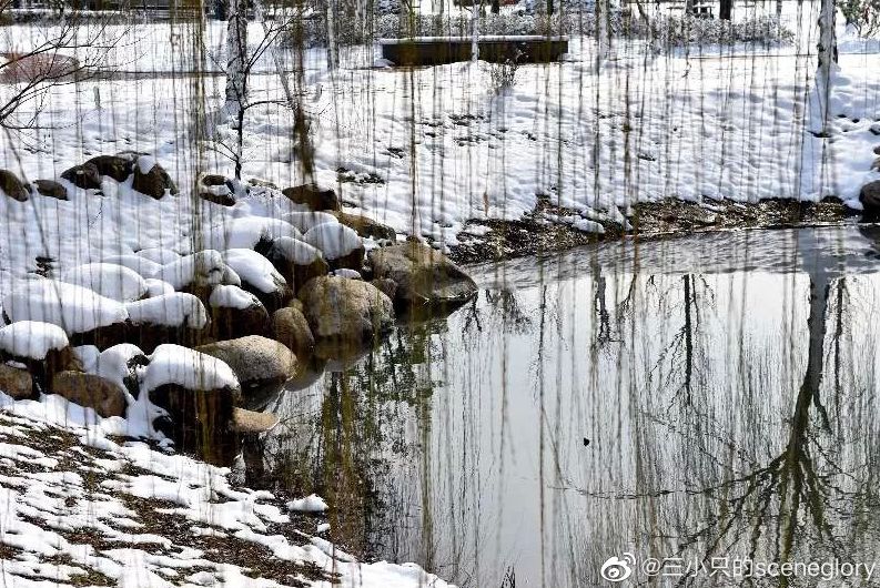 大学▲这些记忆中的校园太美好了！你相册里校园的春天什么样？