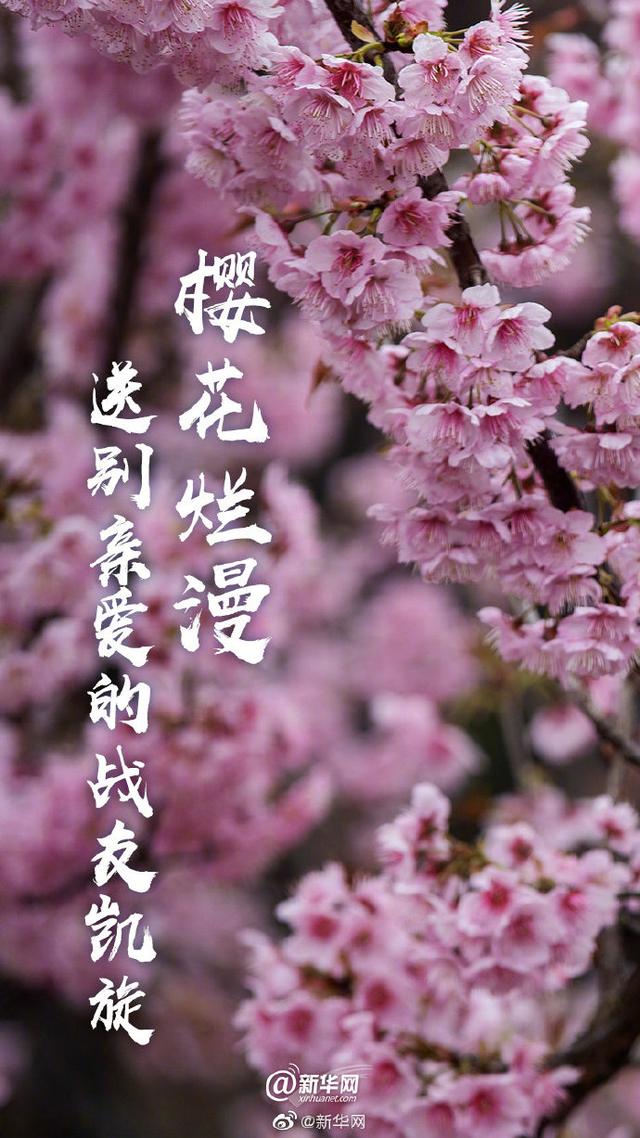 新媒体：这四句话，动人