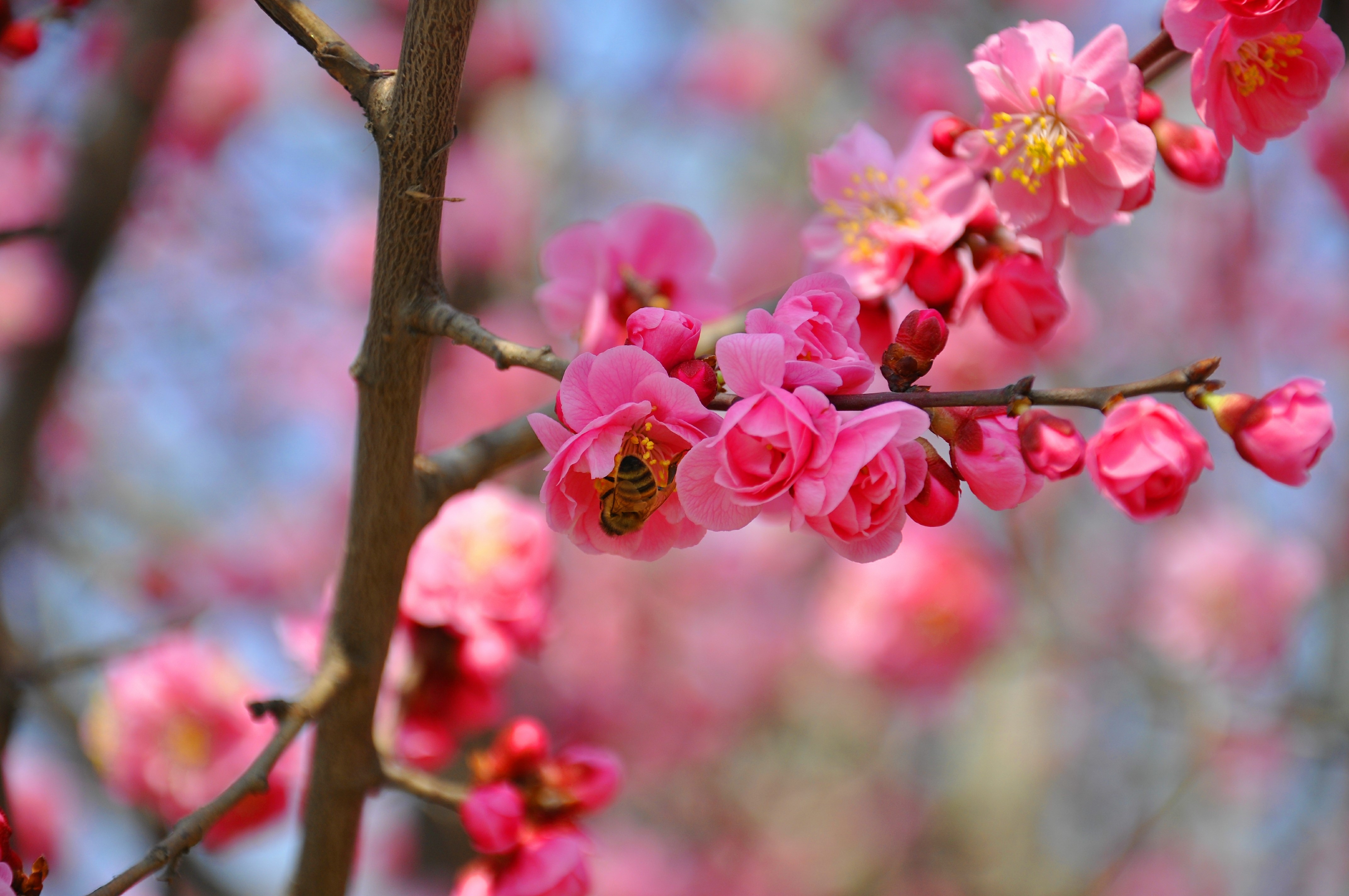 乳山市的护城河畔柳绿花红景色新一派欣欣向荣的景象