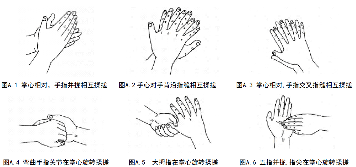 到底是六步洗手法还是七步洗手法更规范